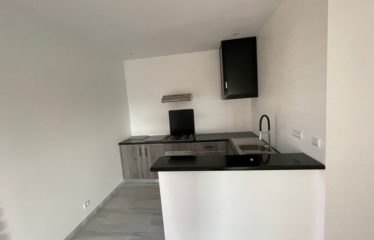 SALY : Appartement 2 chambres t bureau à louer