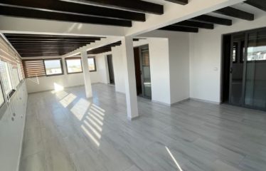 SALY : Appartement 2 chambres t bureau à louer