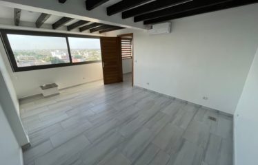 SALY : Appartement 2 chambres t bureau à louer