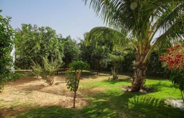 NGUERIGNE : Villa contemporaine standing 3 chambres et un studio avec piscine à vendre