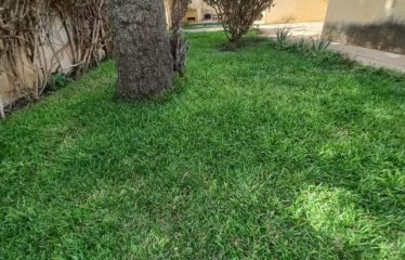 DAKAR ALMADIES : Terrain à vendre 980 m2 – Titre foncier
