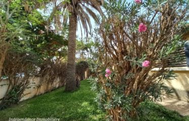 DAKAR ALMADIES : Terrain à vendre 980 m2 – Titre foncier