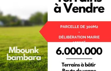 DIAMNIADIO : Terrain nu de 170 m2 à vendre