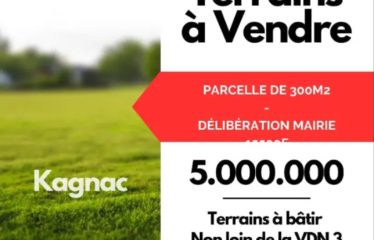 DIAMNIADIO : Terrain nu de 170 m2 à vendre
