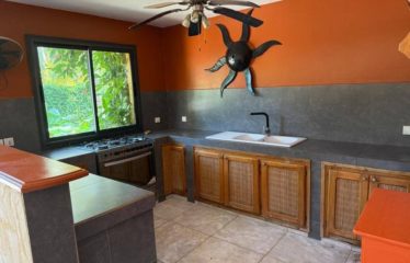 SOMONE : Villa d’architecte 4 chambres avec piscine à vendre