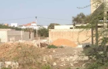 SOMONE : Terrain 300 m2 à vendre