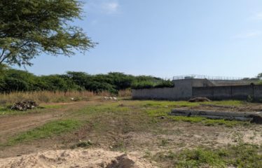 WARANG : Terrain de 700m2 à vendre