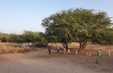 WARANG: 700m2 plot of land for sale