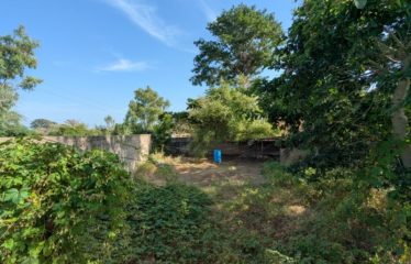 WARANG : Terrain clôturé de 300m2 à vendre