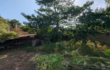 WARANG : Terrain clôturé de 300m2 à vendre