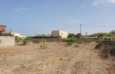 WARANG : Deux terrains jumelés vendre – 600 m2 au total