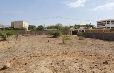 WARANG: Two adjoining plots of land for sale – 800 m2 in total