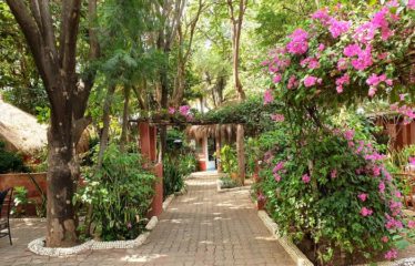 NIANING : Charmant hôtel de 14 chambres à vendre