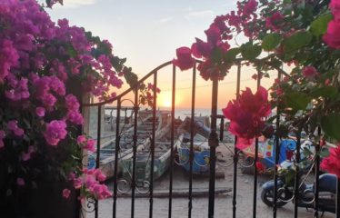 NIANING : Charmant hôtel de 14 chambres à vendre