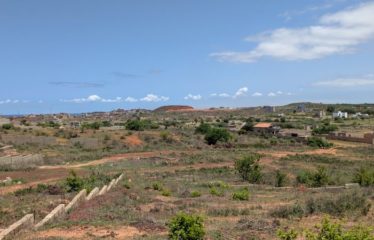 TOUBAB DIALAW : Deux terrains jumelés à vendre – 600 m2