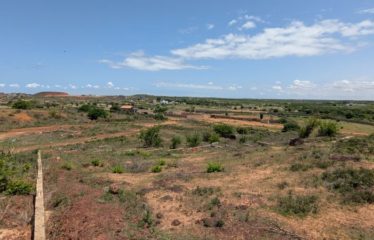 TOUBAB DIALAW : Deux terrains jumelés à vendre – 600 m2