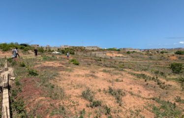 TOUBAB DIALAW : Deux terrains jumelés à vendre – 600 m2