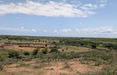 TOUBAB DIALAW : Deux terrains jumelés à vendre – 600 m2