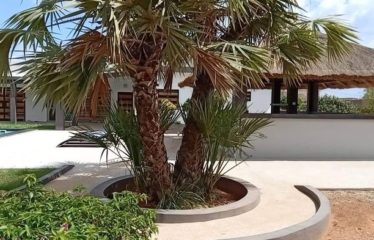 NGUERIGNE : Villa contemporaine plain-pied 5 chambres avec piscine à louer