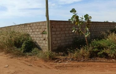 NGAPAROU : Terrain de 4 000 m2 à vendre