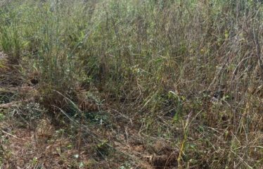 NGUERIGNE : Terrain de 900 m2 à vendre