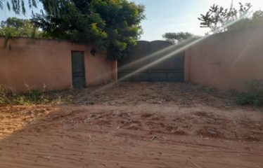 NGAPAROU : Terrain de 10 000 m2 à vendre