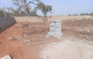 NGGUERIGNE : Terrain de 600 m2 à vendre