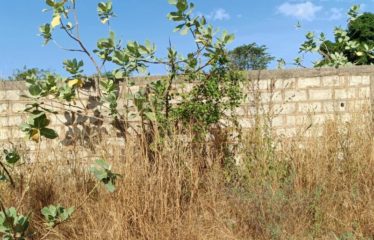 NGUEKHOKH : Terrain de 498 m2 à vendre