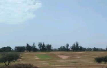 ZONE DES NIAYES : Hectares à vendre