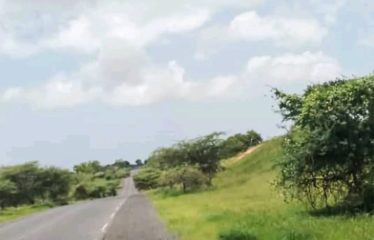 ZONE DES NIAYES : Hectares à vendre