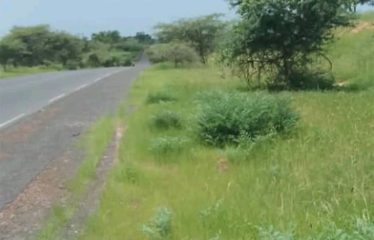 ZONE DES NIAYES : Hectares à vendre