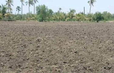 ZONE DES NIAYES : Hectares à vendre