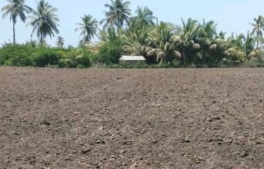 ZONE DES NIAYES : Hectares à vendre