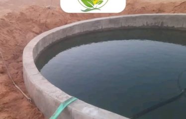 MBORO : Terrain à vendre – Projet avicole