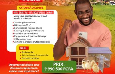 MBORO : Terrain à vendre – Projet avicole