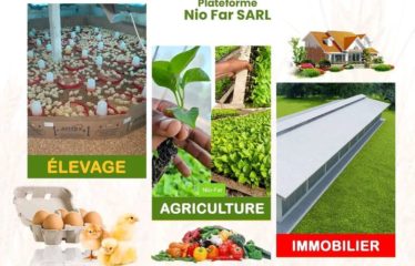 MBORO : Terrain à vendre – Projet avicole