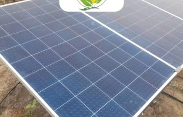 MBORO : Terrain à vendre – Projet avicole