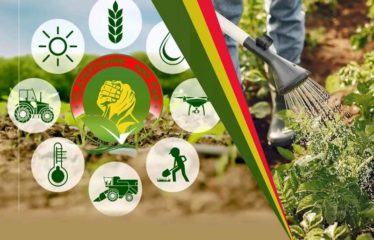 MBORO : Terrain à vendre – Projet avicole