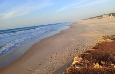 MBORO :Terrains d’habitation à vendre – Mboro sur mer