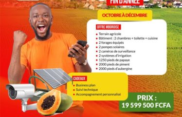 MBORO : Terrain agricole à vendre – Promo exceptionnelle aviculture et agricole