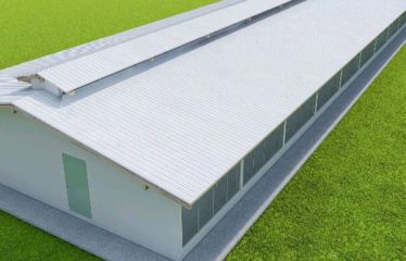 MBORO : Terrain agricole à vendre – Promo exceptionnelle aviculture et agricole