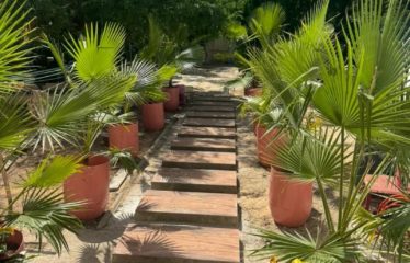 DAKAR FANN : Studio meublé à louer entièrement rénové à Fann Hock