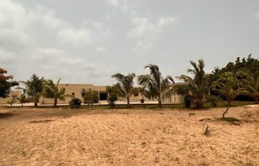 NGUEKHOKH : Villa 6 chambres avec piscine sur 2 hectares à vendre
