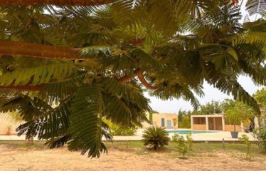 NGUEKHOKH : Villa 6 chambres avec piscine sur 2 hectares à vendre