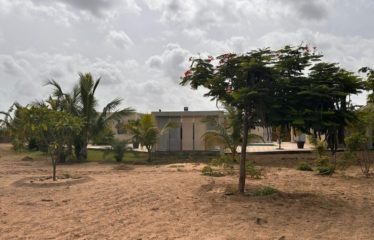 NGUEKHOKH : Villa 6 chambres avec piscine sur 2 hectares à vendre