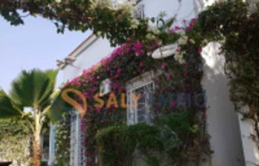 SALY : Villa à louer au design chaleureux