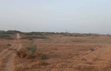 MBORO : Terrains agricole 10 hectares à vendre