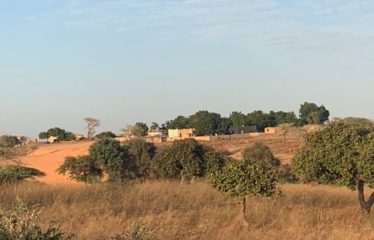 MBORO : 45 hectares agricoles à vendre