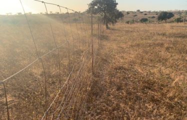 MBORO : 45 hectares agricoles à vendre