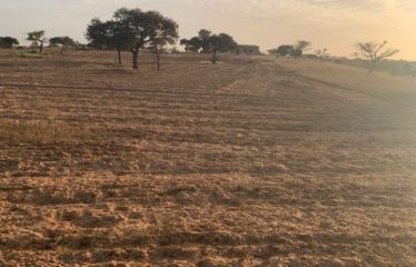 MBORO : 45 hectares agricoles à vendre